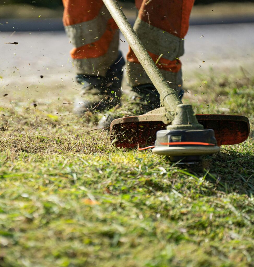 elton tree felling grass cutting